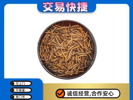 石家庄赵县回收散虫草